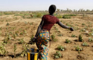 Journée d’étude sur le thème : Crise de l’eau, changements climatiques et migration